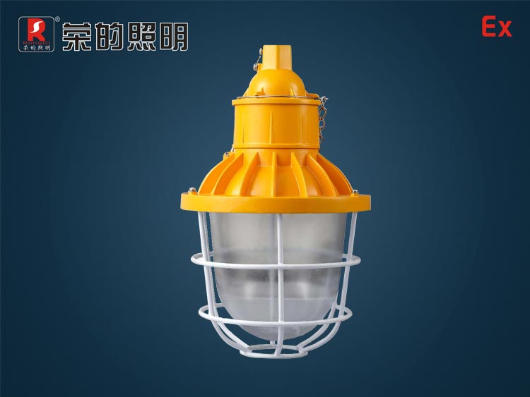 BR9200B,節(jié)能防爆平臺(tái)燈,船舶平臺(tái)照明燈,帶防護(hù)燈罩的平臺(tái)燈